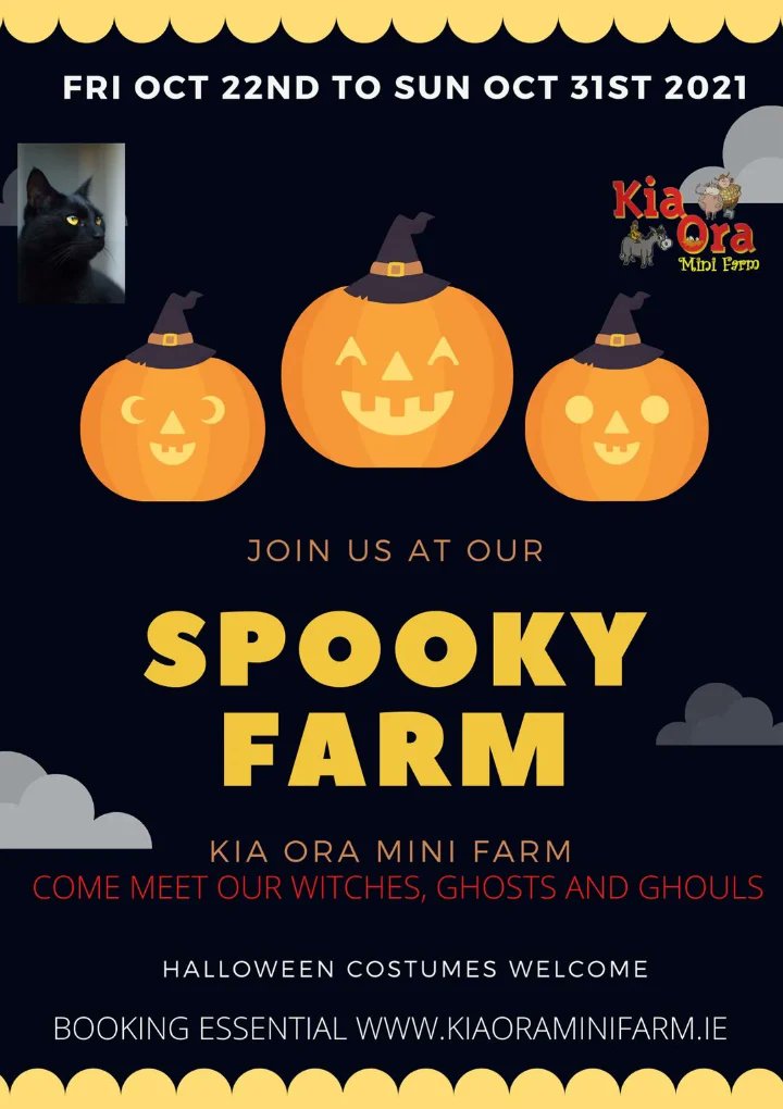 KiaOraMiniFarm1's tweet image. Get your spook on ....

#halloween2021 #spooky #hauntedvibes