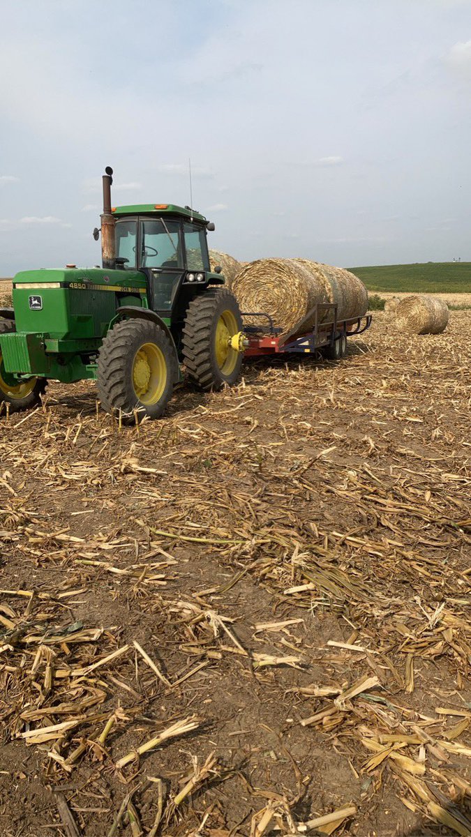 Let the good times roll