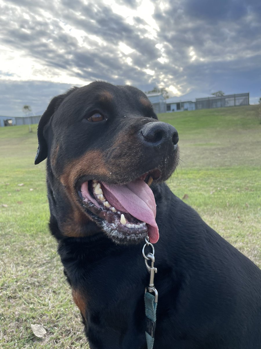 Hannie_05's tweet photo. @tatiwestbrook My Thor 💕 https://t.co/L2BgqOk479