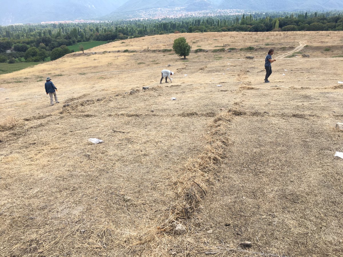 ColossaeP's tweet image. Kolossai’de “Intensive Survey” ve Kent yerleşimi Haritalama çalışmaları devam ediyor....
Intensive survey and settlement mapping continues in Colossae...
