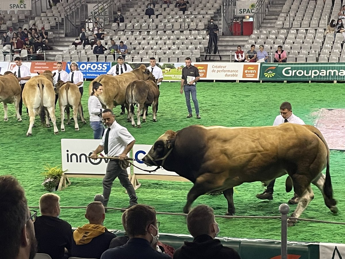 Un clin d’œil au siège social d’<a href="/amaltis_ferti/">Amaltis</a> au #space de Rennes