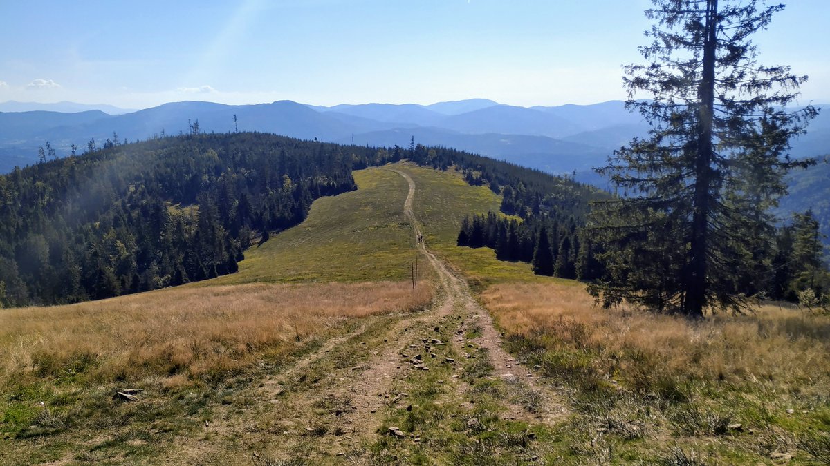 Kurki Collective tweet media