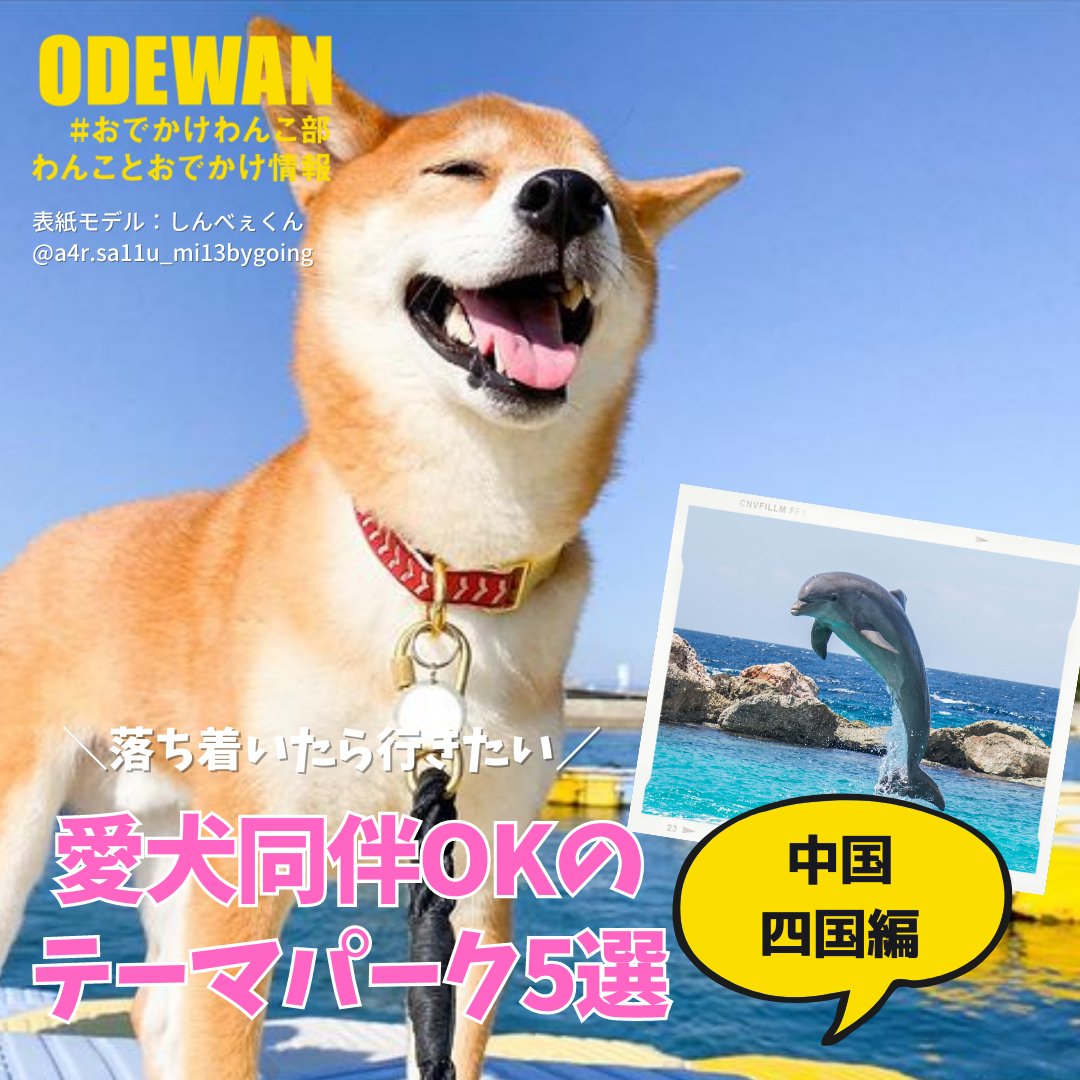 おでかけわんこ部 愛犬とのおでかけ情報 犬同伴okのテーマパーク5選 中国 四国 西日本最大級のドッグラン併設 設備充実のドッグフレンドリーな愛犬とのおでかけスポットを紹介します T Co Ai4fs8asub おでかけわんこ部 わんことお出かけ おでかけわんこ部 愛犬とのおでかけ情報 犬同伴okのテーマパーク5選 中国 四国 西日本最大級のドッグラン併設 設備充実のドッグフレンドリーな愛犬とのおでかけスポットを紹介します T Co Ai4fs8asub おでかけわんこ部 わんことお出かけ