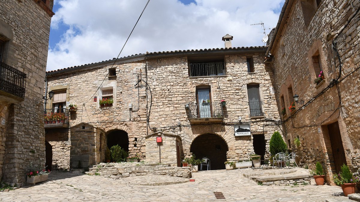 Som Segarra tweet media