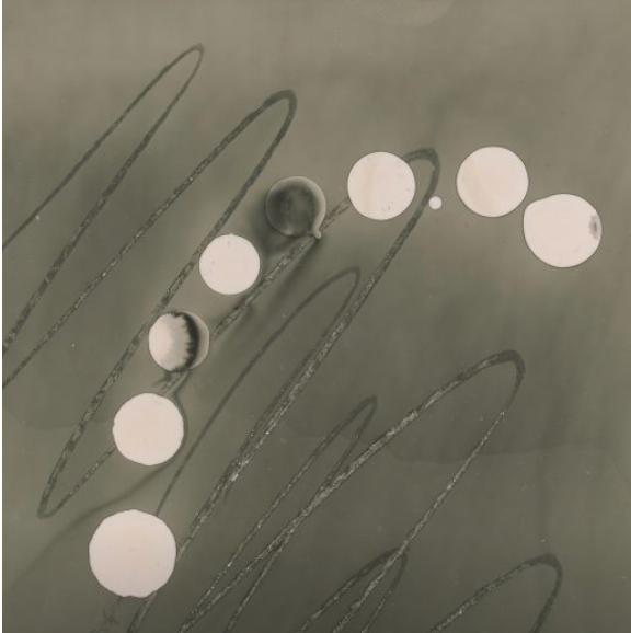 mao_gallery's tweet photo. Check out these exciting hands-on #photography workshops at @ArtsatOFS 📸
On Saturdays from 23 October, learn fascinating natural & chemical photographic techniques, including #phytography #cyanotypes #anthotypes and #chemigrams 💥 Find out more & book: https://t.co/TaLXtTTapw https://t.co/4lCI1BCfGp