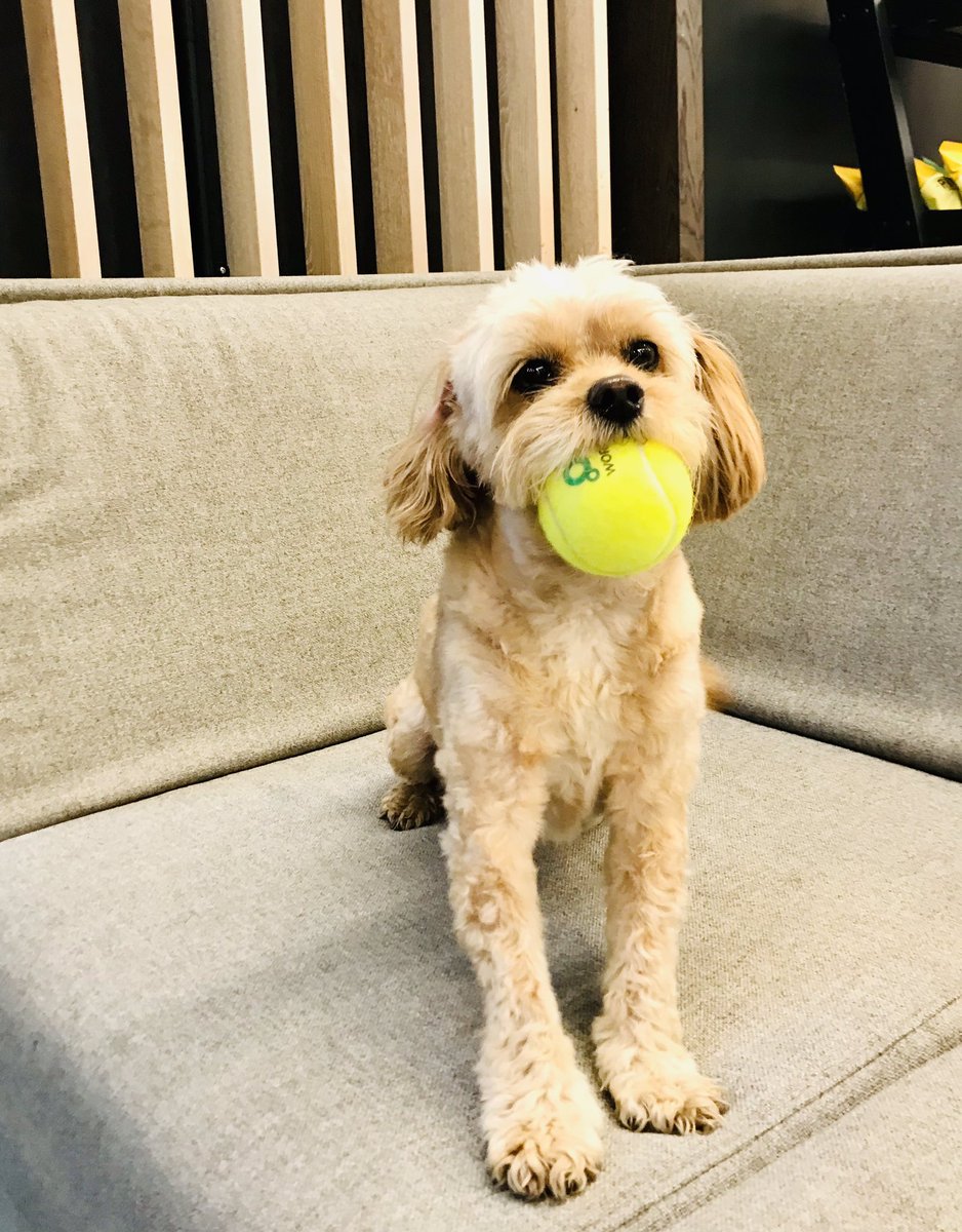 Vox Studios tweet media