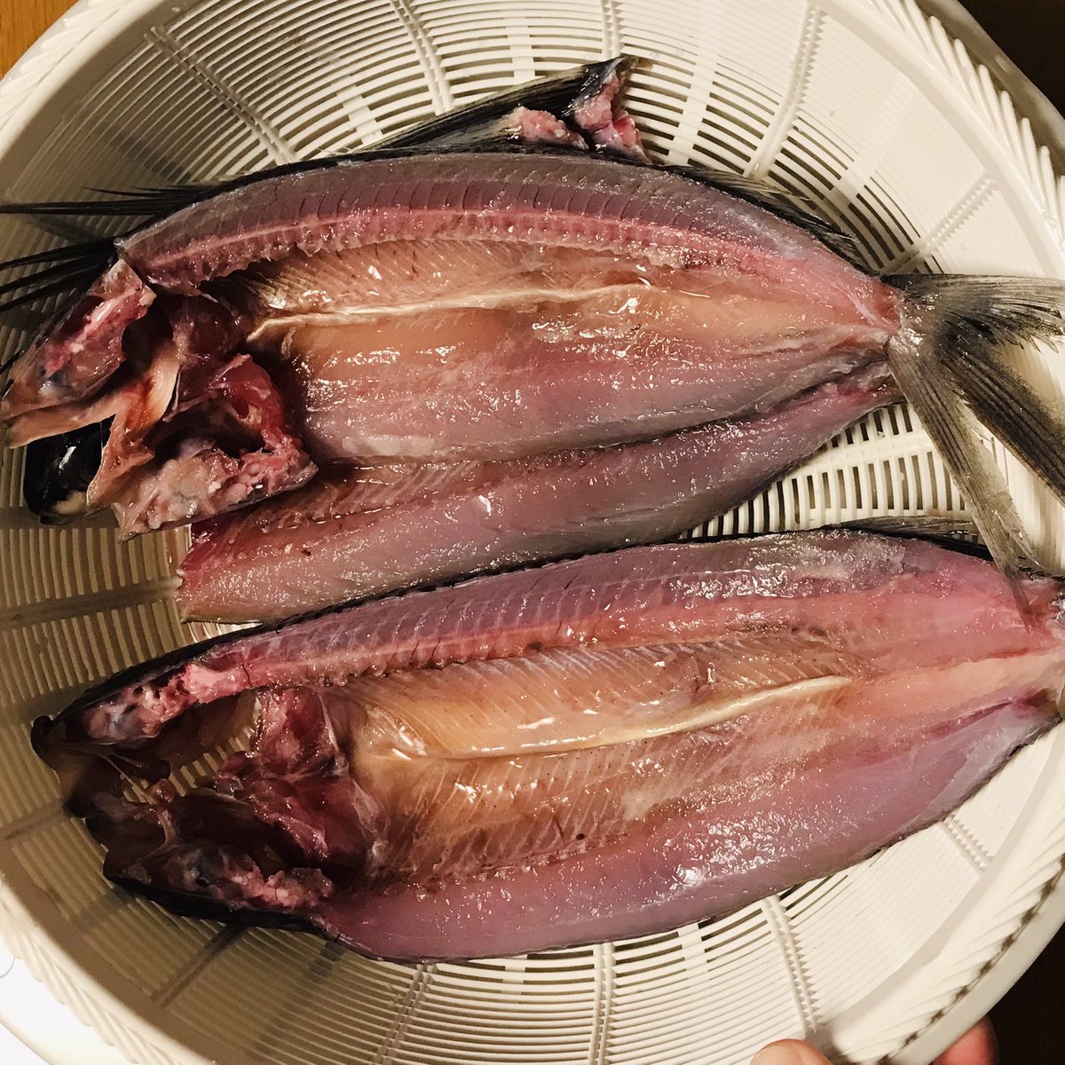 Chappy Manaita トビウオの塩焼き 焼いたら何の魚かわからなくなってかわいそうなので腹びれ Pelvic Fin で飾り付け おうちごはん トビウオ 焼き魚 Flyingfish 大根おろし