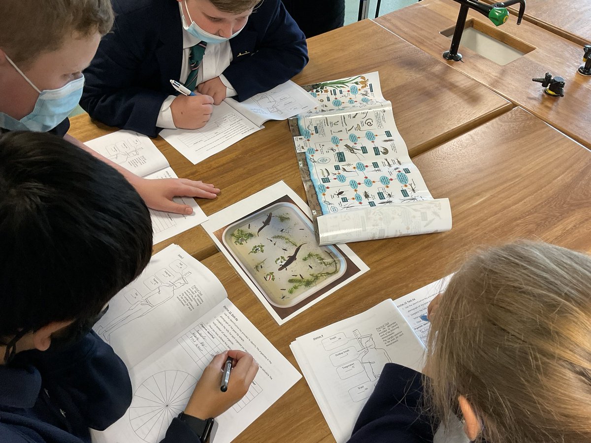 WcbScience's tweet image. Year 8 students take part in our measuring circus.