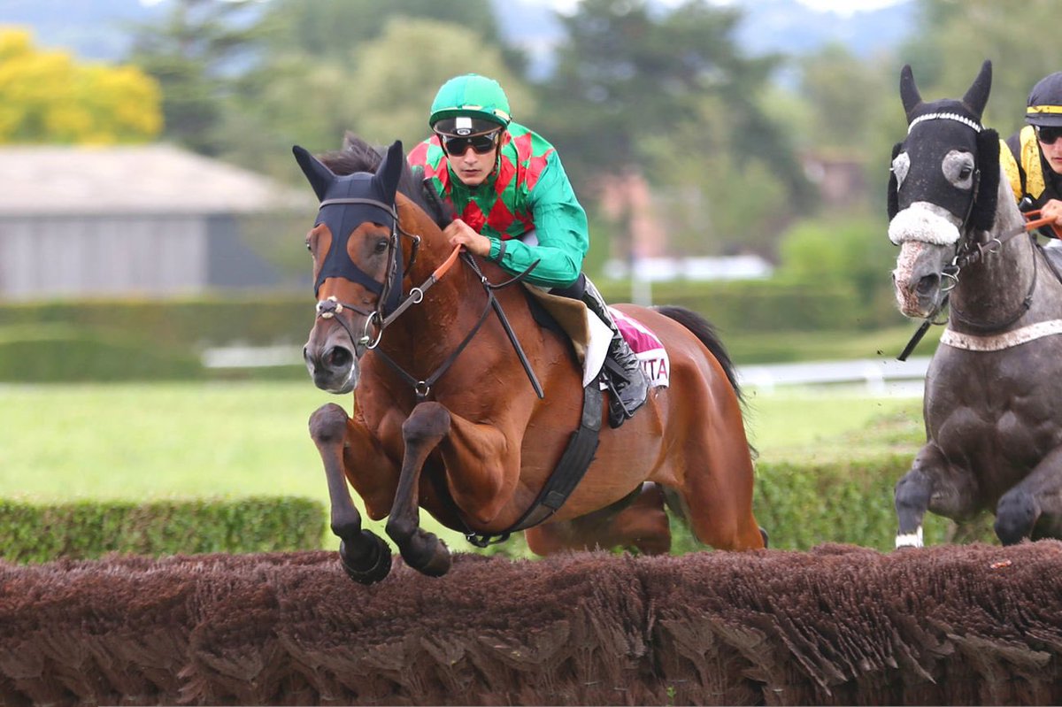 davidcottin's tweet photo. ♥️TEXARD♥️ fidèle à sa tactique de prédilection il s’impose brillamment sur le steeple de Clairefontaine sous la monte de @EtienneCapdet ! On félicite la cavalière ! Et tout le t’entourage du cheval qui courrait pour les couleurs de @simon_munir et @isaacsouede #doublegreen https://t.co/loACi5AkOp