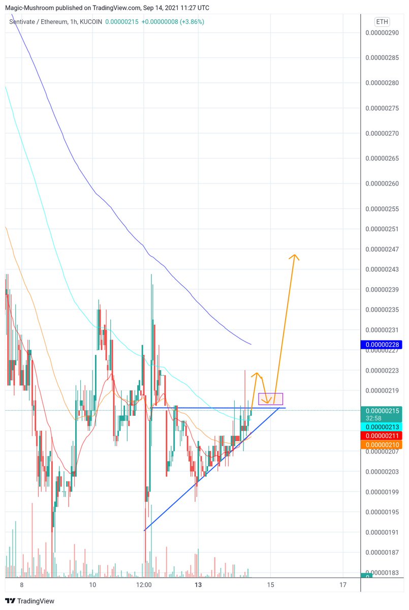 Magic Mushroom - With Crypto to Paradise 🏝️ tweet media