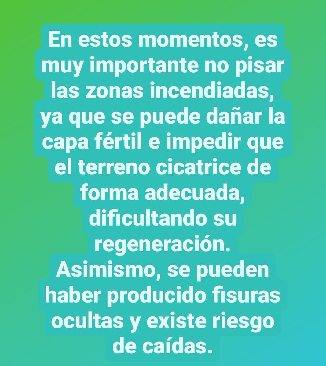 JuanCarrasco's tweet image. Un incendio no es un lugar para ir a hacer turismo. Por favor, tened en cuenta que la zona incendiada tiene que ser vista y tratada por profesionales. El turismo de catástrofe dejadlo para otro momento. 
NO PISÉIS LO QUEMAO
#IFJubrique 
#IFSierraBermeja 
#IFValledelGenal