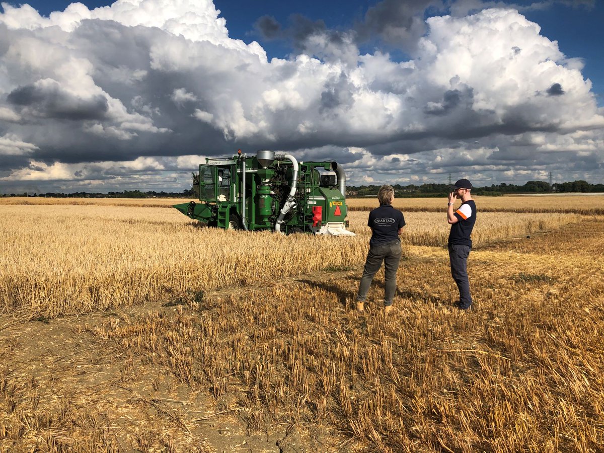 The first @ENSA_Project Crop Science Centre field trial has been sucessfully harvested by a team from <a href="/niabgroup/">Niab</a> 🌾. check out the latest blog update from <a href="/TomThirkell/">Tom Thirkell</a> to find out how it went cropsciencecentre.org/news/first-cro… #plantscience #barley