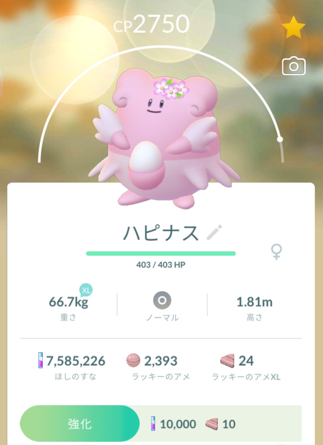 おおざる ポケモンgo 今さらながらpl40に強化した ハピナス 2体目の100 ラッキー が入手できたら進化 強化しようと思ってたが 98 花飾りがいて 今後100 花飾りを入手できる機会があるかも不明 で Pl40 ハピナス を持ってないので思い切って