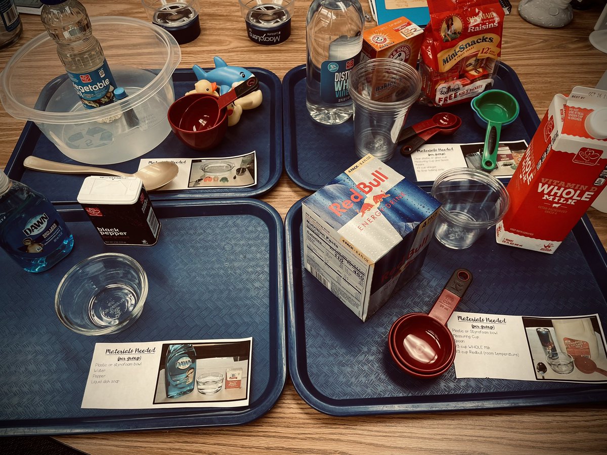 The mad scientist strikes again!  Hands on, simple, impactful experiments to practice with the scientific method.  <a href="/SullyES_LCPS/">Sully ES</a>