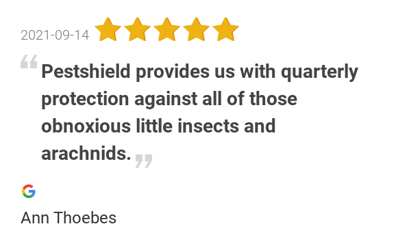 PestShieldSTL's tweet photo. New 5.0-star Review: "Pestshield provides us with quarterly protection against all of those obnoxious little... https://t.co/MMHoId0stp