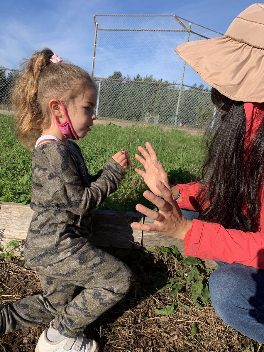 MsCourteny's tweet photo. Children show they feel safe, secure and supported when they initiate interactions and conversations with trusted educators #nsearlylearningcurriculumframework #wellbeing #nspreprimary #capable #confident #curious @HRCE_NS @Oldfield_Osprey @msbrenpp https://t.co/k0wwdzocRC