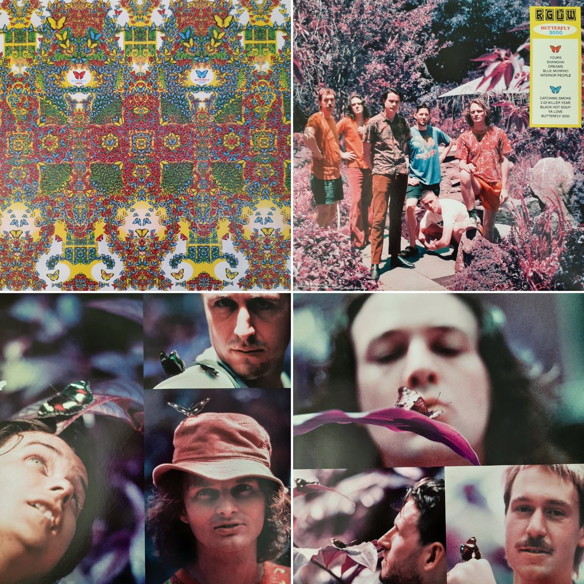 thetrueMeduson's tweet photo. #medusonsvinylcollection
KING GIZZARD & THE LIZARD WIZARD - Butterfly 3000
This album is super fun, check it out if you haven't already! 💛
#kinggizzardandthelizardwizard #kglw #butterfly3000 #rock #psychedelicrock #pop #synthpop #electropop #vinyl https://t.co/zZpW65HfKe