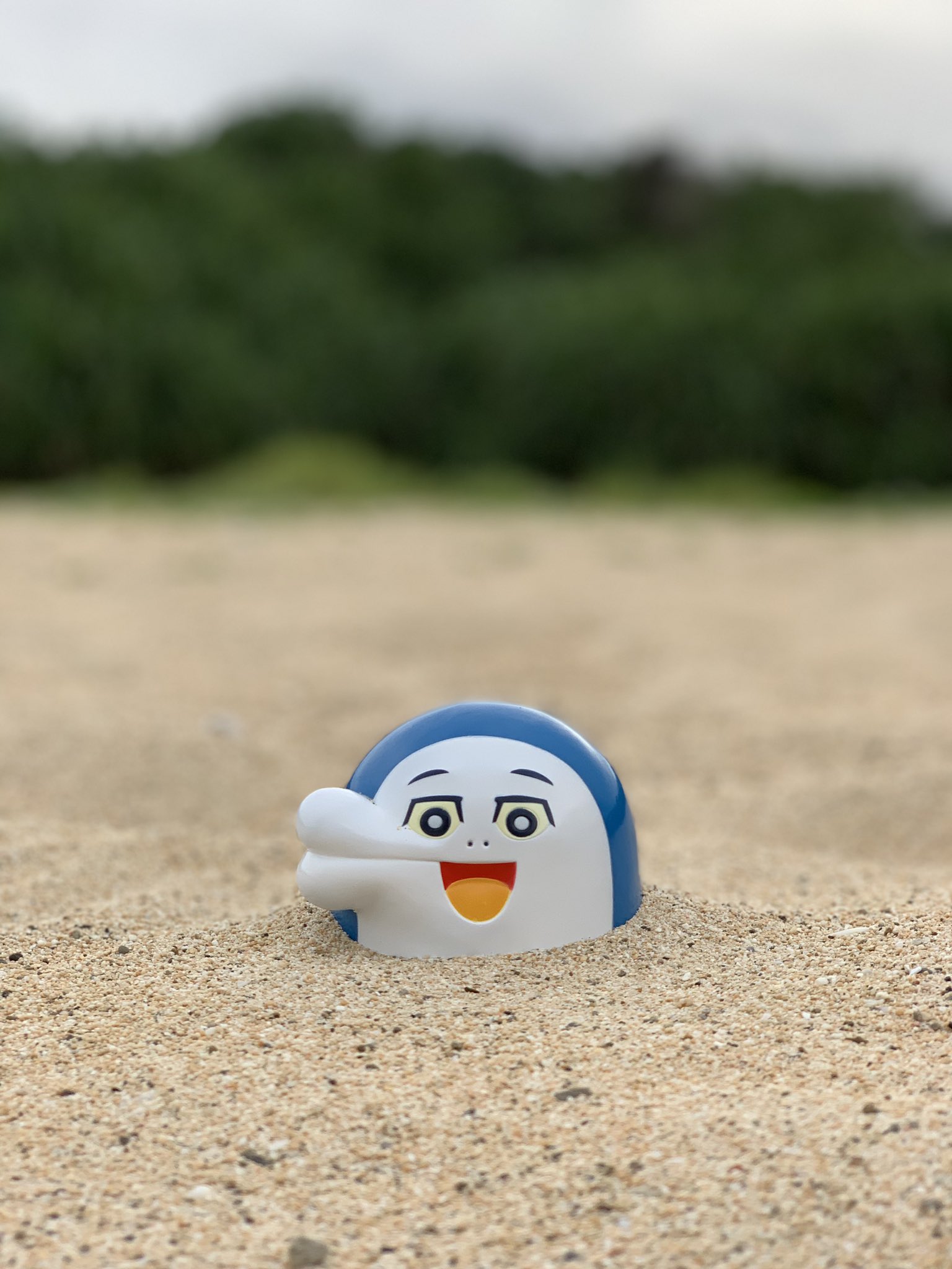 イルカのイルカくん そだつ セラピーボール