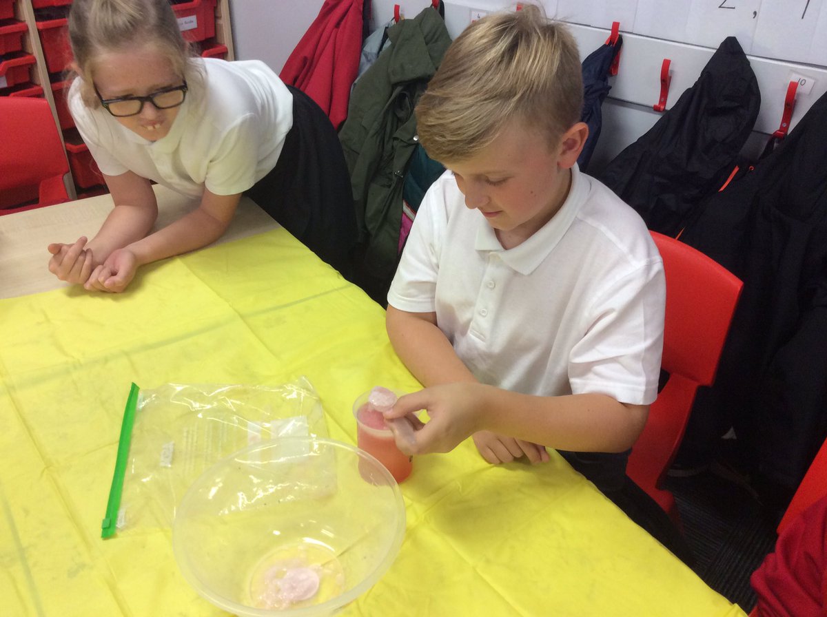 StPhilipsY6A22's tweet photo. In Science, we have been looking at animals and other living things. Today, we extracted DNA from strawberries. π§¬π
Did you know that humans share 50% of their DNA with bananas? π𧬠#StPhilipsScienceY6 https://t.co/cL5xidESz3