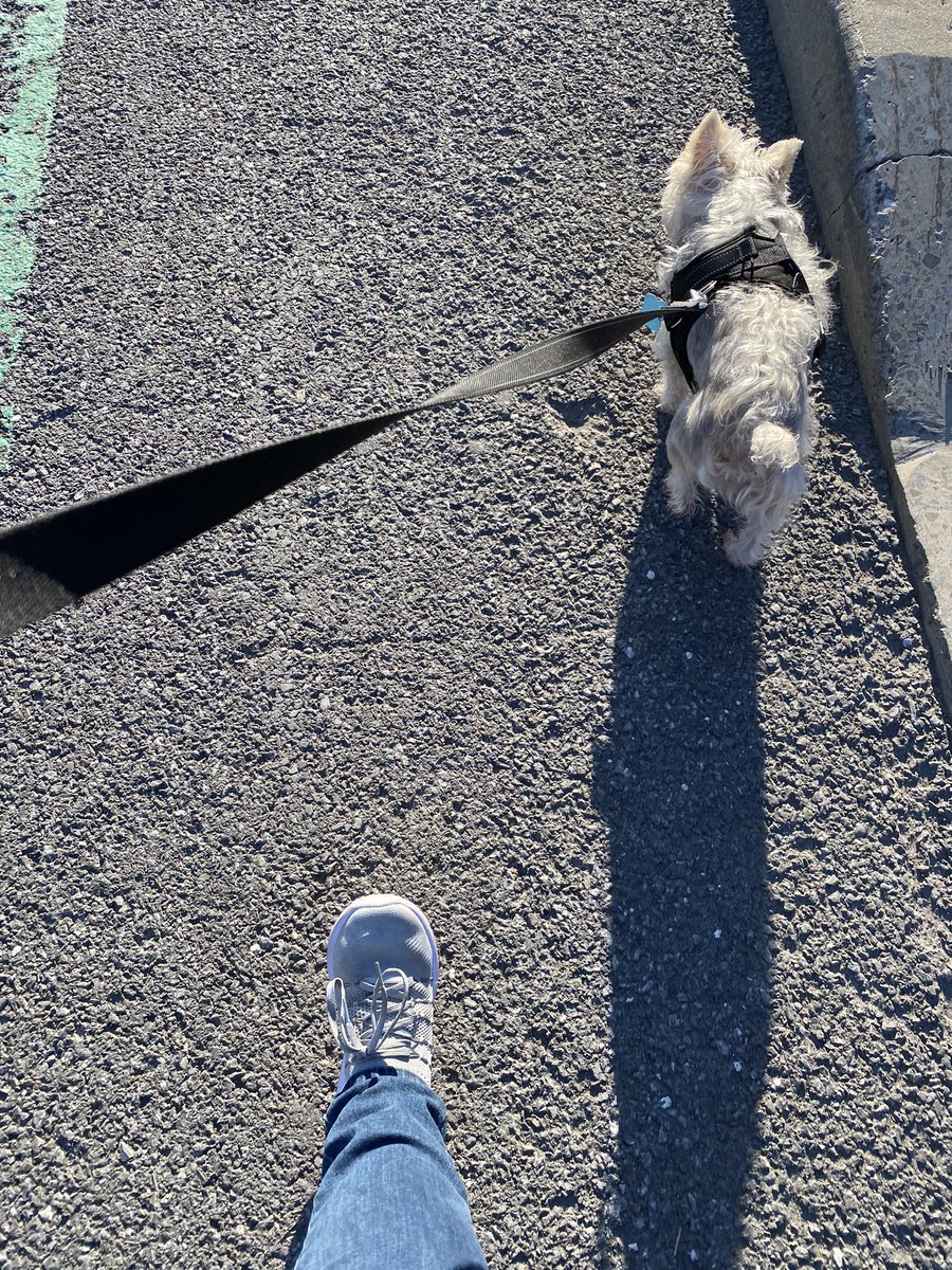 A beautiful walk to start a productive day!