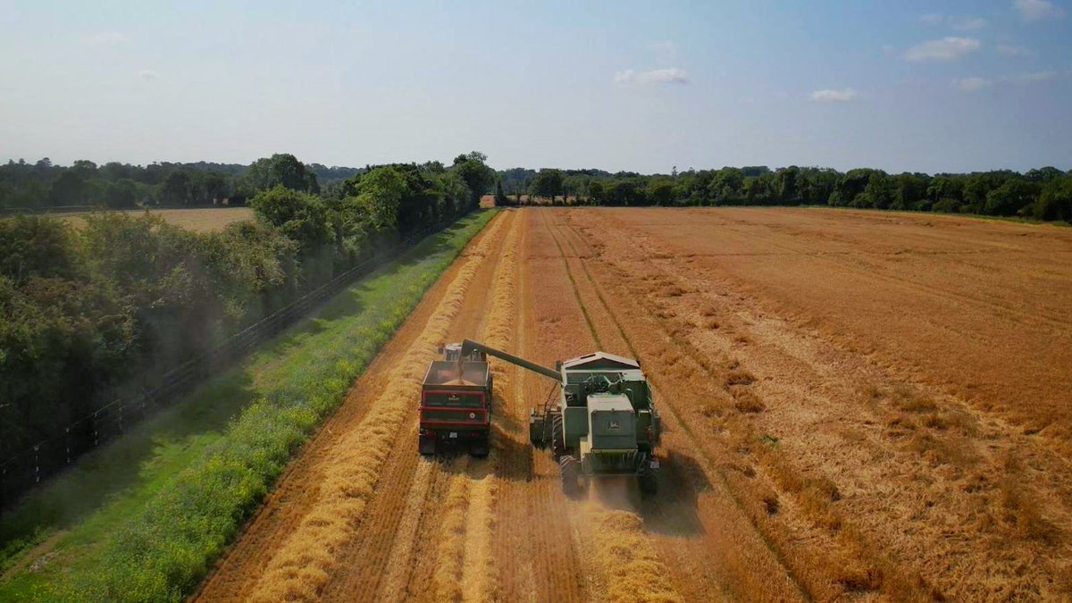 Looking back at #Harvest21 Follow them to our facility in Dundalk and find out if this crop made it through our rigorous testing protocols. YT: youtu.be/pVajMONbPrs

#alltechcropscience #pearsewhiskey #pearselyonsdistillery #irishwhiskey #malt #barley #whiskey #irishpotstill