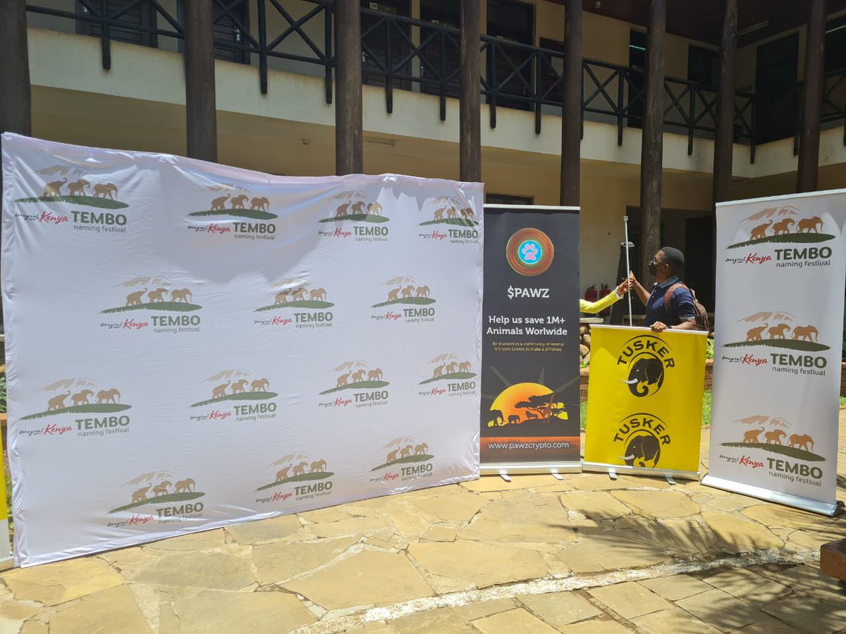 $PAWZ setting up for its first big #donation to the wildlife service in #Kenya Today!! 

Retweet and comment to win $100 in #PAWZ

#ANIMALS #Charity #Btc #Bnb #metaverse #elephants