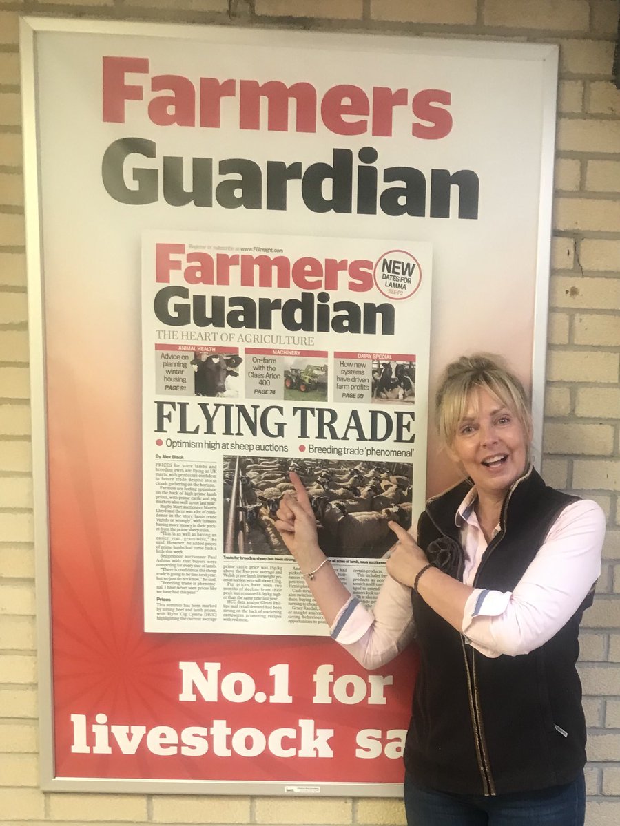 Busmans holiday today selling tups at #Penrithauctionmart. #selllivetothrive #MartstheHeart <a href="/FarmersGuardian/">Farmers Guardian</a> ⁦<a href="/PFKAuctions/">PFK Auctioneers & Valuers</a>⁩