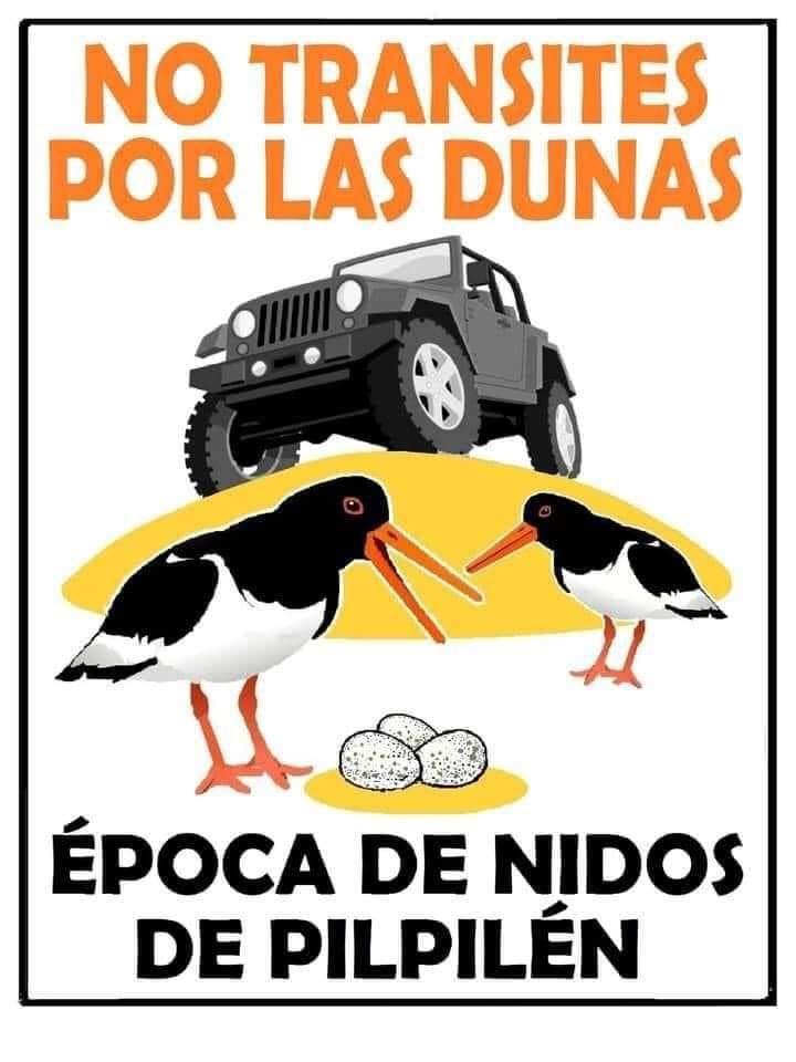 alertaconcon's tweet photo. https://t.co/14MCC8luTx