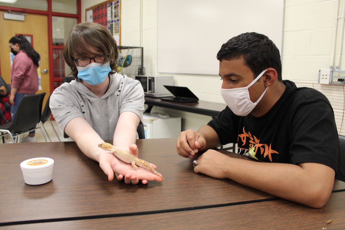UlsterBOCES's tweet photo. Our #CTE students in Animal Science from around Ulster County have wasted no time getting into the swing of things! @HighlandCSD, @SaugertiesCSD, @OnteoraCSD &amp; KCSD students shown with some of the non-human class residents. https://t.co/sJtH9OBQVI