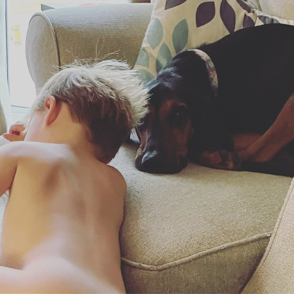 trishaleighKC's tweet photo. She’s so tolerant of their nonsense, no matter how strong her “come get your kid” energy. 😂 #coonhoundsofinstagram #familydog #aboyandhisdog https://t.co/UBt9rw4ZEh