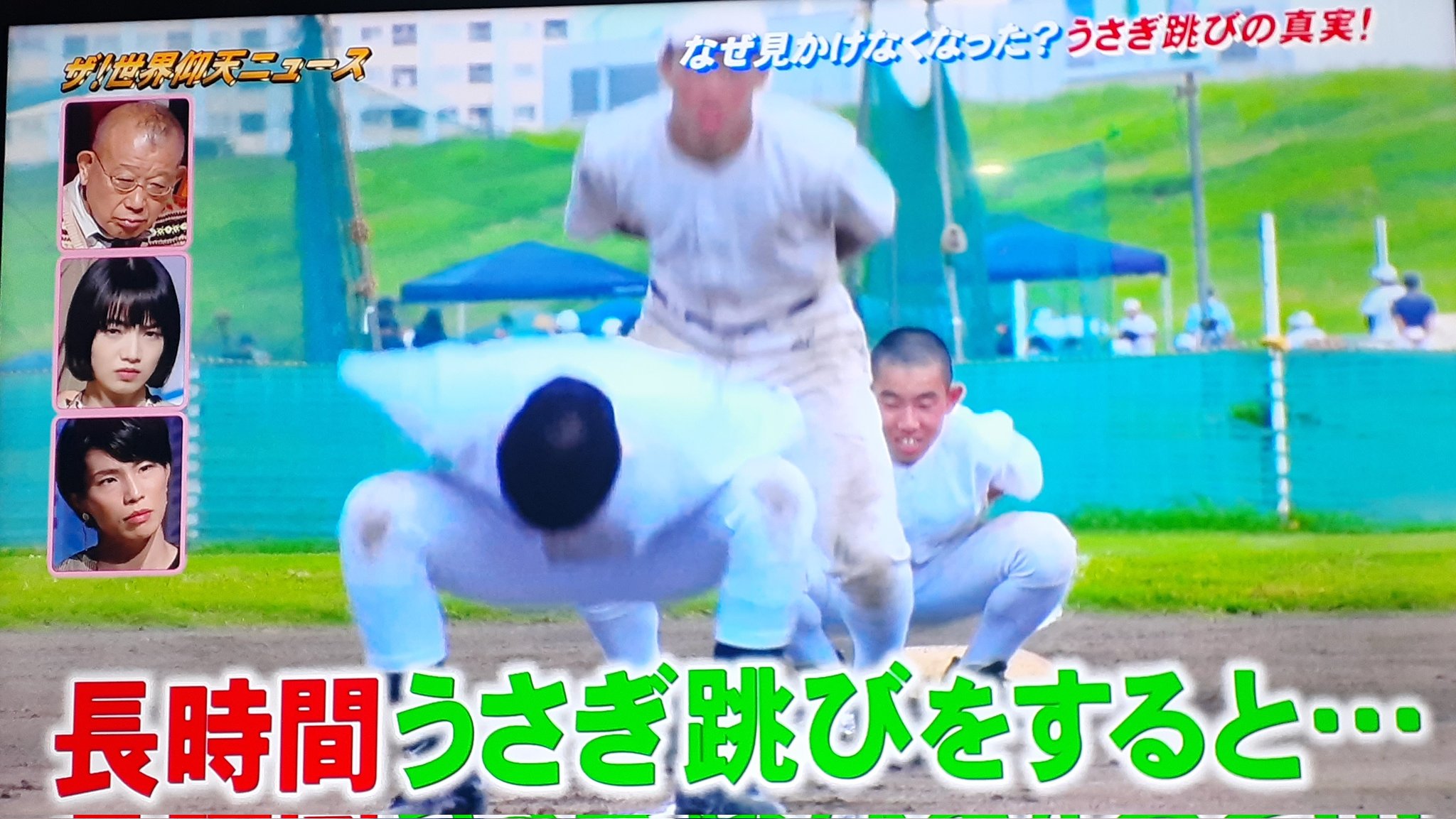 純一まん Shimaromatvuma 忠実に作られてるからそりゃあね 馬にうさぎ跳びさせたら怪我しまっせ Twitter