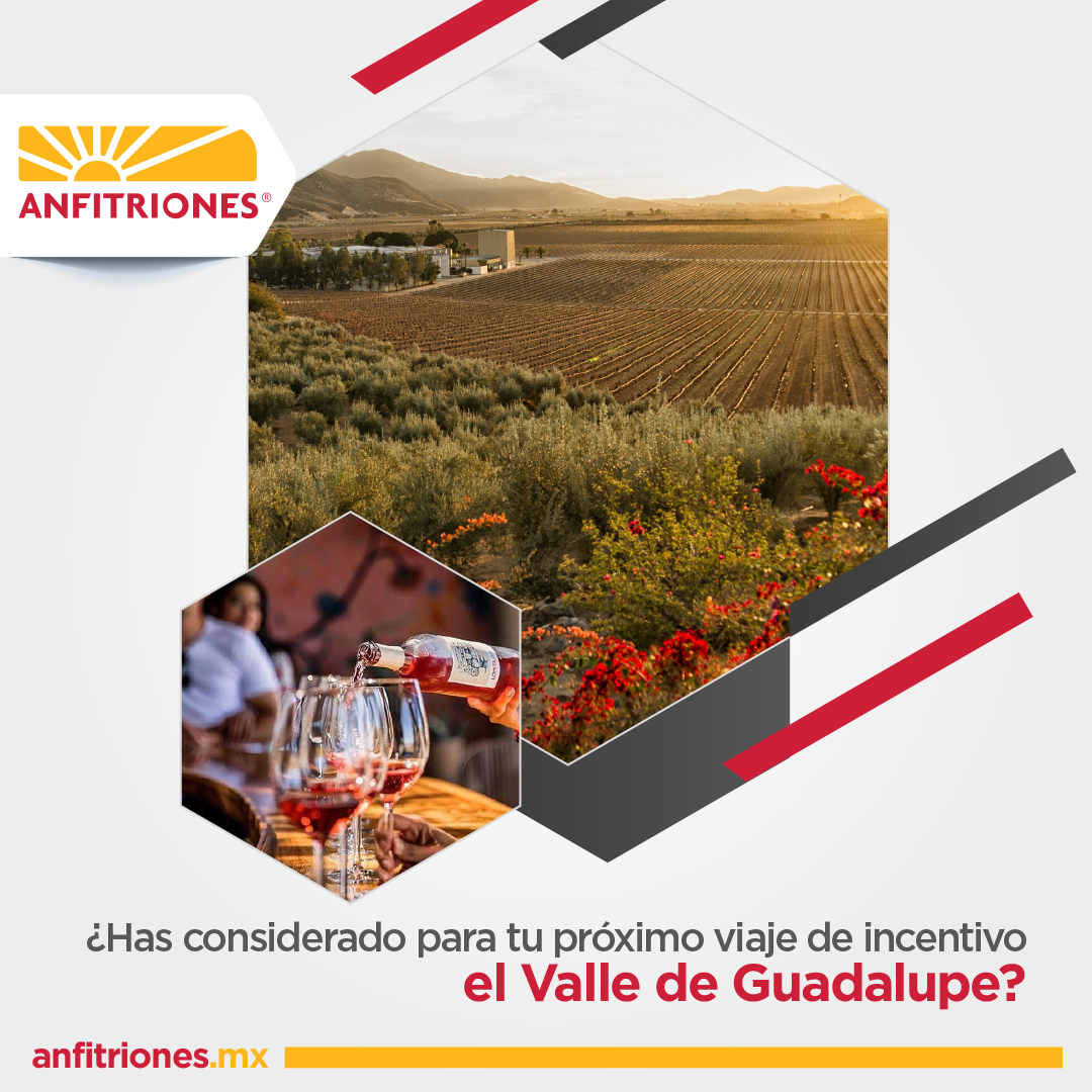 El Valle de Guadalupe es un excelente lugar para realizar un viaje de incentivo, las experiencias en este gran destino mexicano son únicas.
#ExperienciasÚnicas #ViajesCorporativos #Viajesdeincentivo #Empresas #Vacaciones #Viajes #ValleDeGuadalupe #RutaDelVino #DestinosTurísticos