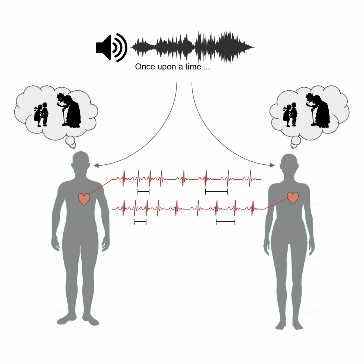 What happens when individuals listen to an audio recording of the same story? Their heart rates fall into sync, even if they are on separate continents! See what #CCNY researchers learned about bodily responses to cognition and their potential applications ccny.cuny.edu/news/ccny-biom…