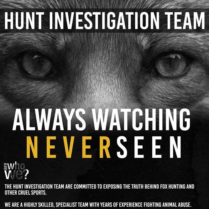 The Hunt Investigation Team has been busy over the summer at a hunt kennels working on our latest investigation. Again HIT have obtained ground breaking evidence and shocking footage never seen before in the UK. More to follow soon. Please share. HIT.
