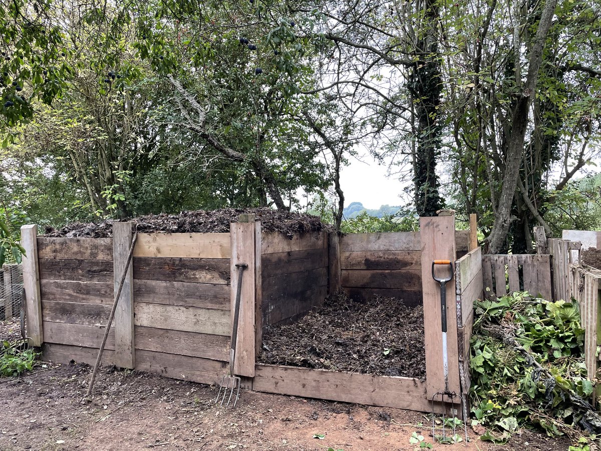 The compost heaps are filling- hugely boosted by all the shredded hedge- trimmings which make excellent compost.