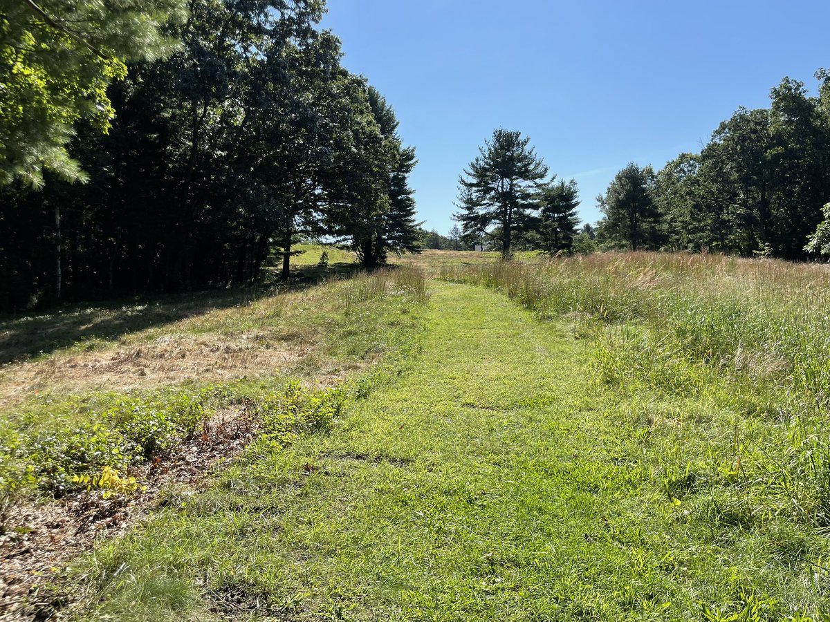 Susan Erickson tweet media