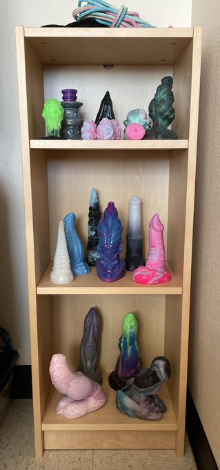 Quinn - 1 pic. Overdue collection update! I can finally have my pretties displayed and recently got a shelf to house them as well as a nice black light. Thanks so much to all the lovely folks who made and provided these amazing toys! https://t.co/3U03mSzMXc