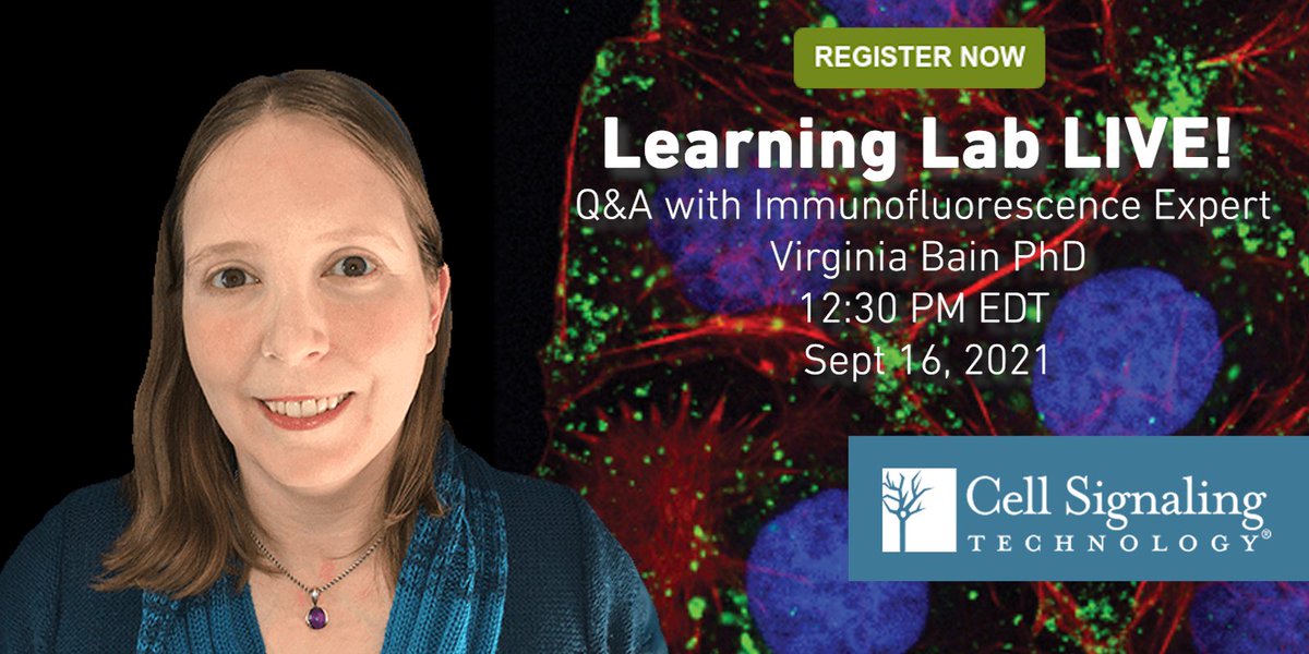 Cell Mentor (@cellmentor) on Twitter photo THIS THURSDAY
Join #immunofluorescence application expert Dr. Virginia Bain at the next <a href="/CellSignal/">Cell Signaling Technology</a> Learning Lab LIVE! on September 16 at 12:30 PM EST.
This presentation will guide you through detecting your favorite protein by IF. Register Now!
hubs.li/H0VP8YF0 THIS THURSDAY
Join #immunofluorescence application expert Dr. Virginia Bain at the next <a href="/CellSignal/">Cell Signaling Technology</a> Learning Lab LIVE! on September 16 at 12:30 PM EST.
This presentation will guide you through detecting your favorite protein by IF. Register Now!
hubs.li/H0VP8YF0