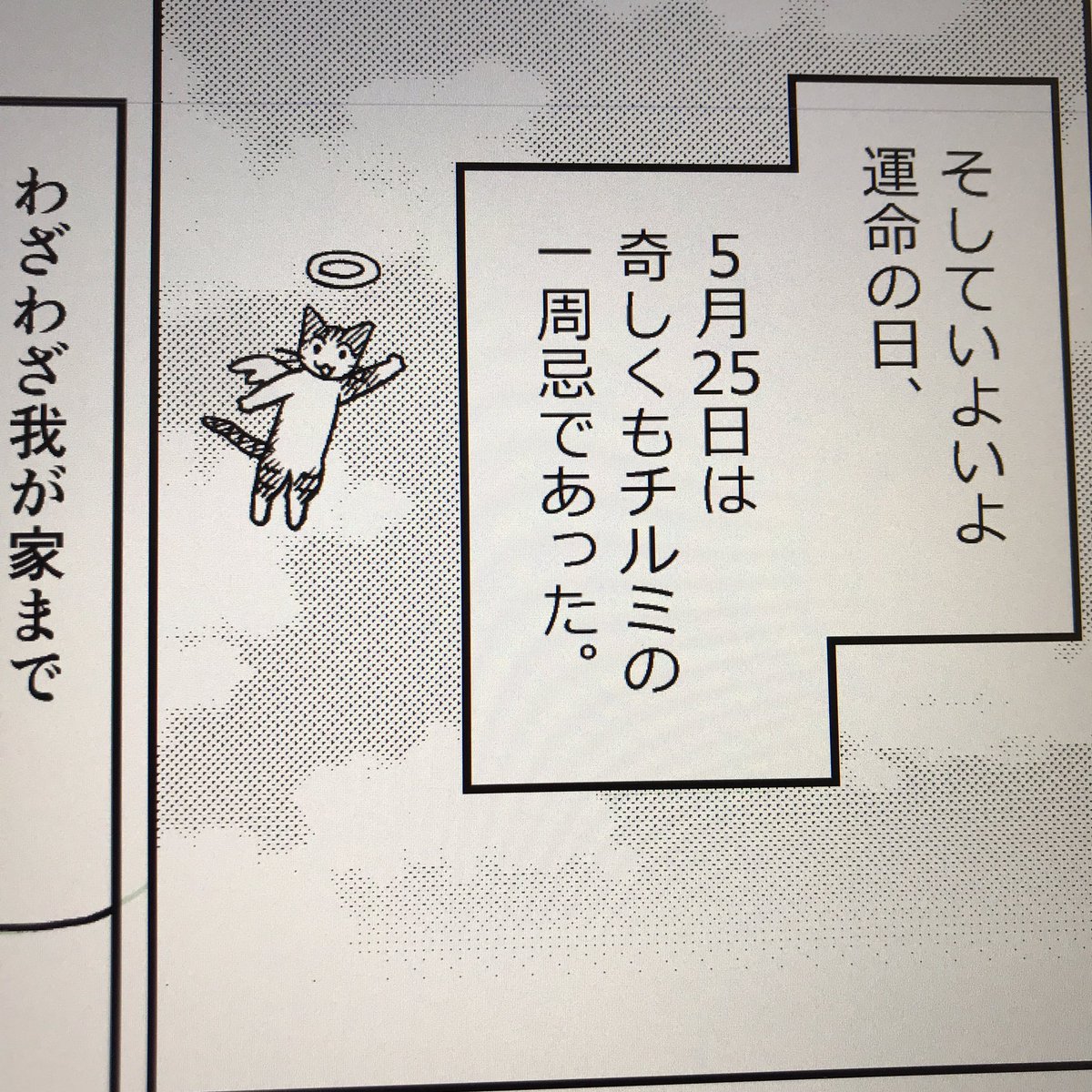 もうすぐ印刷屋さんの最終〆切なのに、まだゴールが見えない💦
疲れも溜まってきたし早く終わりたい😭

明日もとにかく頑張るのみ!!
おやすみなさーい
0(:3 )～ ('、3_ヽ)_

リプ出来なくてすみません〜!🙏💦 