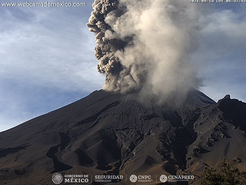 SkyAlertMx's tweet photo. Explosión del #Popocatépetl en estos momentos. Columna eruptiva superior a 1.5 km sobre el cráter dispersándose hacia el lado de Puebla. https://t.co/HXvb12OgMr