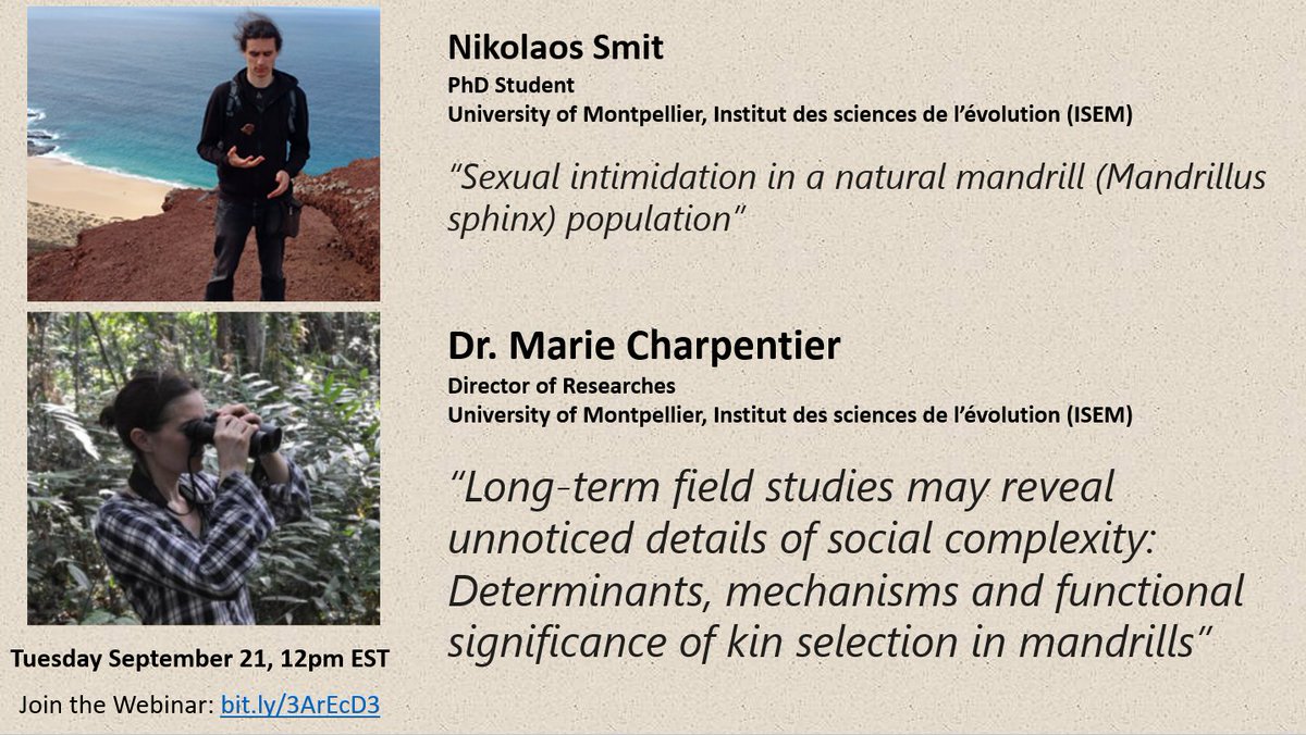 LTARseminars's tweet photo. The LTAR seminar returns next week! 

Join us September 21 at 12pm EST.

We'll hear two talks about wild mandrills-- a short talk from Nikolaos Smit and a longer talk from Marie Charpentier.

Learn more about the study system here: https://t.co/IxWKMXxnQb https://t.co/w59cMxD1ae