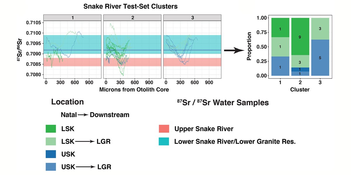 Ecosphere (@esaecosphere) on Twitter photo From our #EmergingTechnologies track:
#DynamicTimeWarping (a tool for comparing #TimeSeries) has loads of potential in ecology, as shown with fish otolith data
doi.org/10.1002/ecs2.3…
#ClusterAnalysis #OpenAccess
@AFishInSchool <a href="/uidaho/">University of Idaho</a> <a href="/UIdahoCNR/">U Idaho CNR</a> <a href="/mpdailynews/">Moscow-Pullman Daily News</a> <a href="/uiargonaut/">The Argonaut</a> From our #EmergingTechnologies track:
#DynamicTimeWarping (a tool for comparing #TimeSeries) has loads of potential in ecology, as shown with fish otolith data
doi.org/10.1002/ecs2.3…
#ClusterAnalysis #OpenAccess
@AFishInSchool <a href="/uidaho/">University of Idaho</a> <a href="/UIdahoCNR/">U Idaho CNR</a> <a href="/mpdailynews/">Moscow-Pullman Daily News</a> <a href="/uiargonaut/">The Argonaut</a>