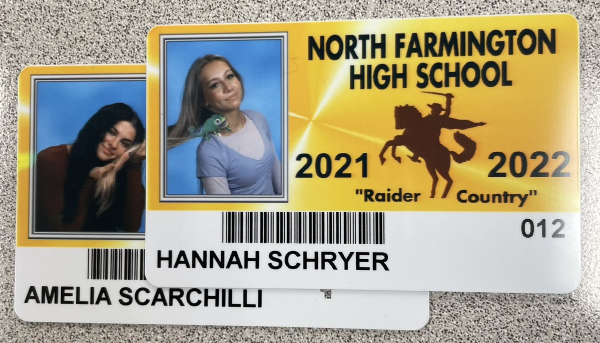 amelia scarchilli tweet media