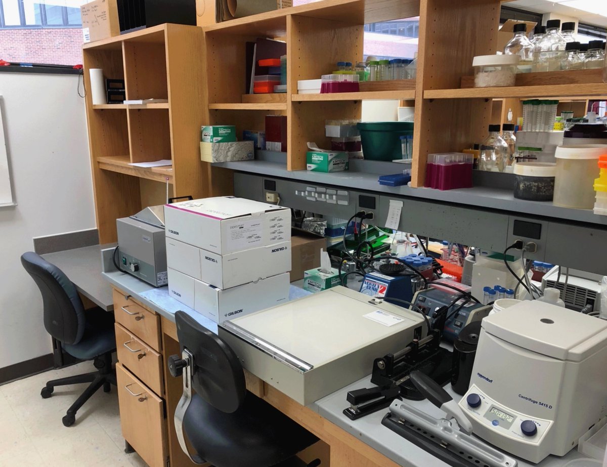 davidkcortez's tweet image. Bench Blogs (part 3)
I’m sad. I used to be so important. Kareem Mohni discovered HMCES as an abasic site shield here. But look at me now. Just accumulating junk. Please, someone new join the lab and rescue me from this despair!