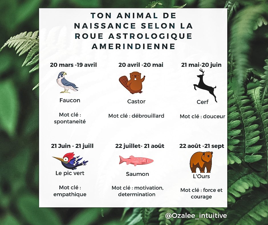 Ozaleeintuitive's tweet photo. Animal totem de naissance selon ton signe astro. Astrologie amérindienne 🥰✨ #spiritualite https://t.co/HpE3X2Z8Lr