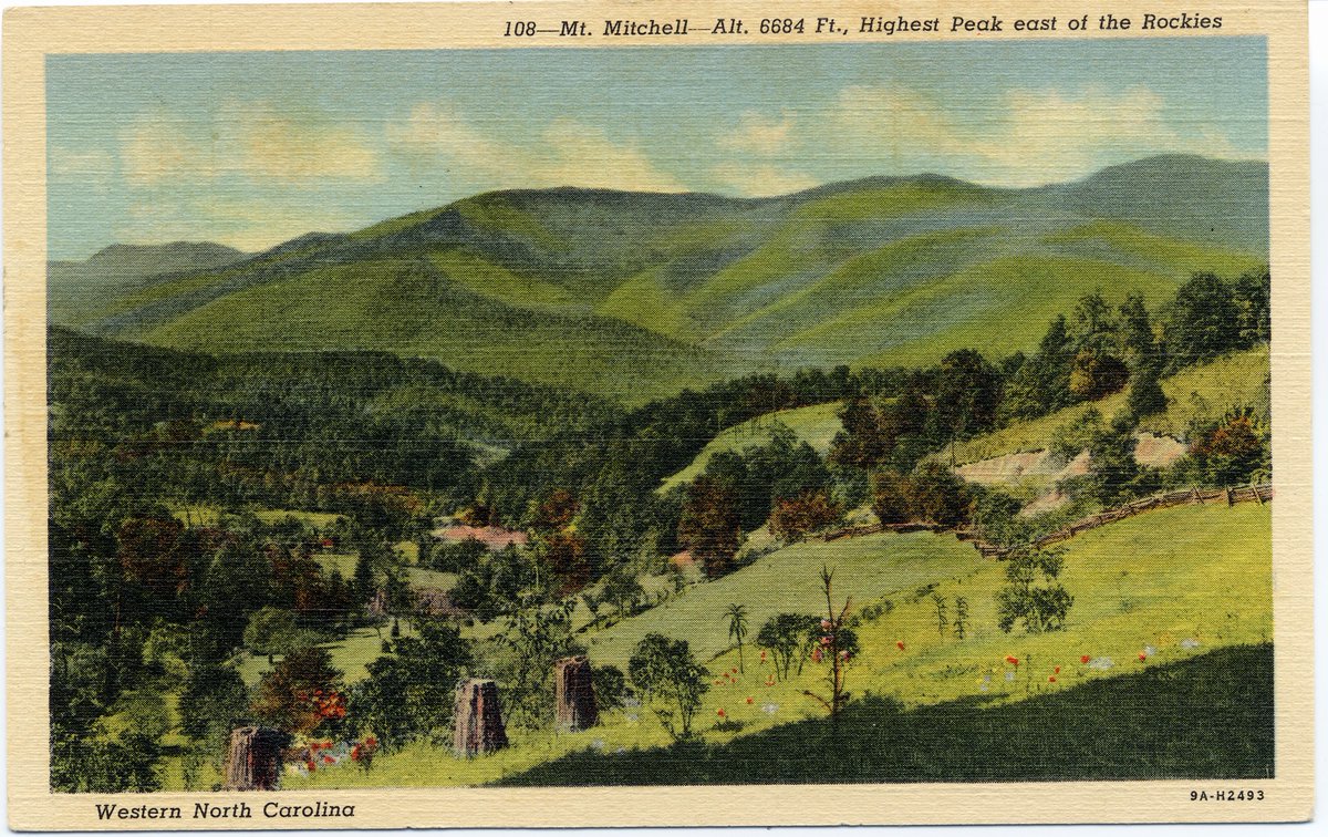 SV_Museum's tweet photo. Postcard Tuesday: This undated postcard from SVM's archives shows a majestic view of Mount Mitchell. At 6,684 feet above sea level, Mount Mitchell is the highest point in the eastern United States.
#wnc #vintagepostcard #svmuseum #swannanoavalley #blackmountain #mtmitchell https://t.co/xEBaD1QuP3