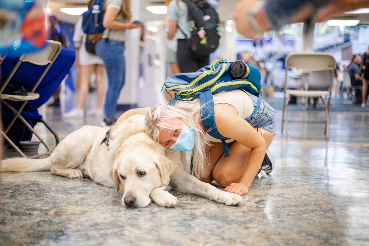 Did you miss our first Yappy Hour? No worries, you've got more chances to hang out with our therapy dogs this semester! 🐶 

🔘 Oct. 19, 11 a.m. to 1 p.m., Evansdale Crossing

🔘 Nov. 17, 9-11 a.m., Health Sciences Center

🔘 Dec. 9, 1-3 p.m., Mountainlair