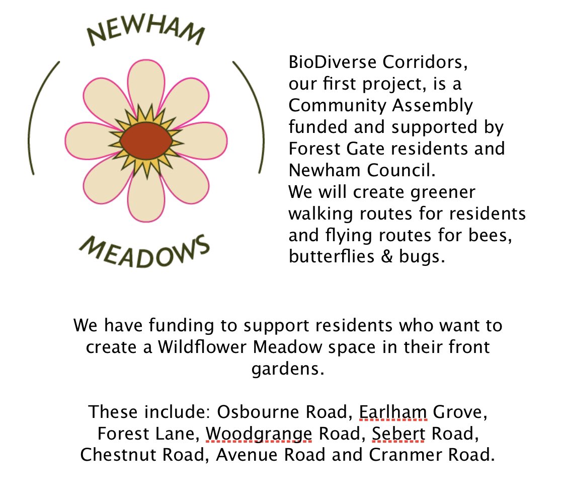NewhamMeadows's tweet photo. Here’s the new flyer. Off to the printer and soon to be shared.
.
.
@newhamlondon 
#biodiversity #communityassemblyfunding #bug #bugcount #butterflies #insects #wilding #wildflowers #garden #meadowflowers  #meadow #ecology #ecoartist #ecoart #restorative #art #newhammeadows https://t.co/jNep9GCDkW