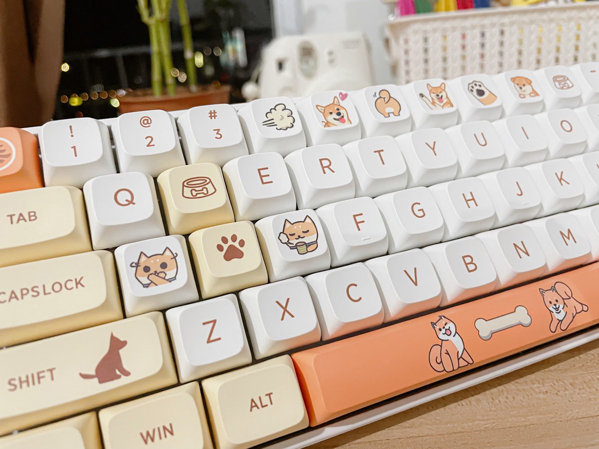 R4chtulip's tweet photo. got my shiba inu keycaps in the mail today 🐶 https://t.co/hw29sijCoq