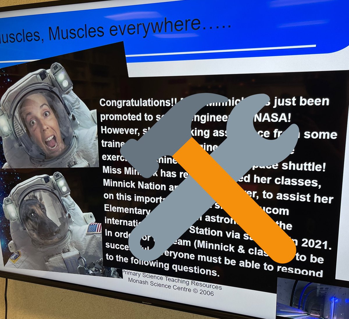 Heading to space soon so I have recruited some junior biomedical engineers to help me when thinking of the musculoskeletal system! #minnicknation is up first!!!! #musclesmuscleseverywhere